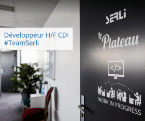 venez travailler avec la team serli !